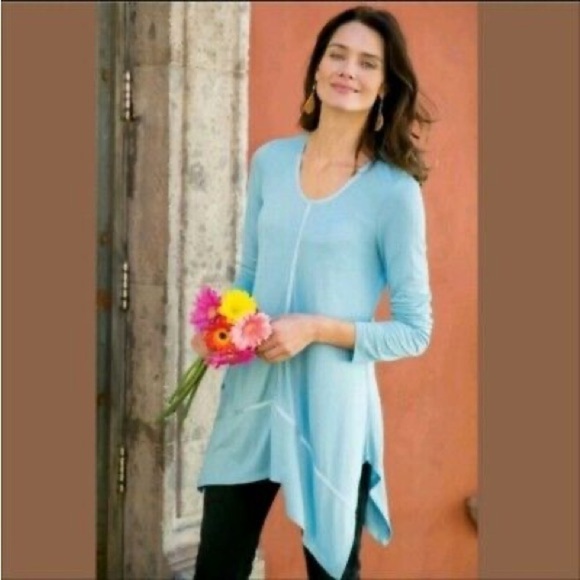 Soft Surroundings Blue Sofia Tunic - Picture 1 of 7